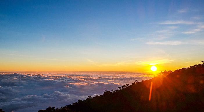 ��ϵ����